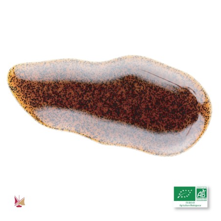 Extrait 200 de Vanille LAVANY Bourbon de Madagascar avec les grains Agriculture Conventionnelle