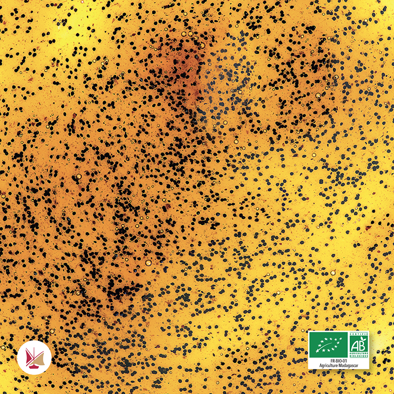 Extract 400 of LAVANY Bourbon Vanilla from Madagascar with grains Organic Farming