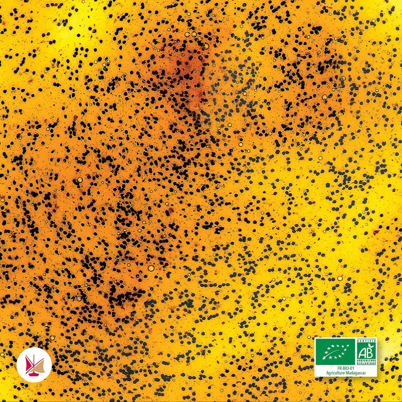 Bio-LAVANY Bourbon-Vanille-Flüssigextrakt aus Madagaskar