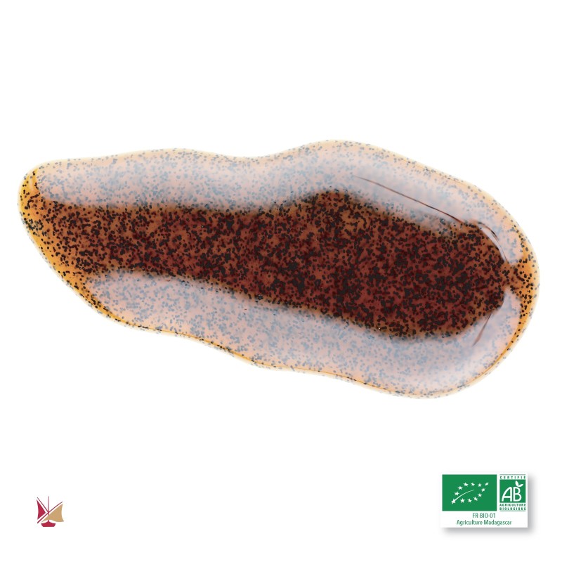 Bio-LAVANY Bourbon-Vanille-Flüssigextrakt aus Madagaskar