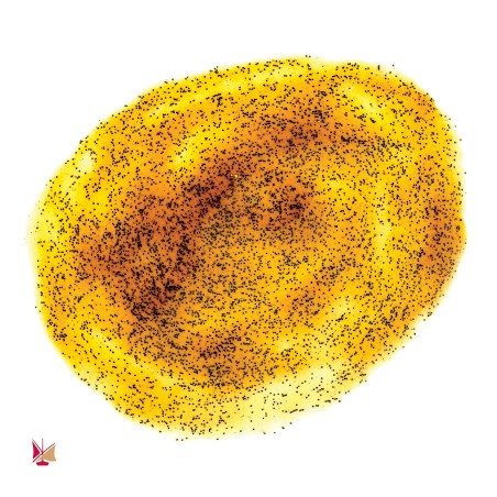 Pâte de Vanille LAVANY avec les grains de Vanille