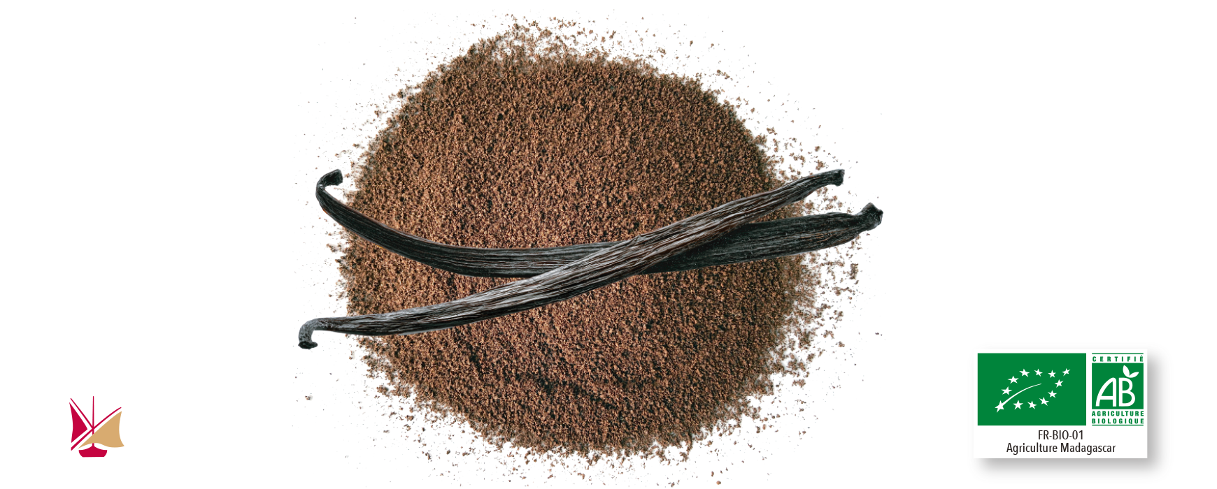 Poudres pures de vanille